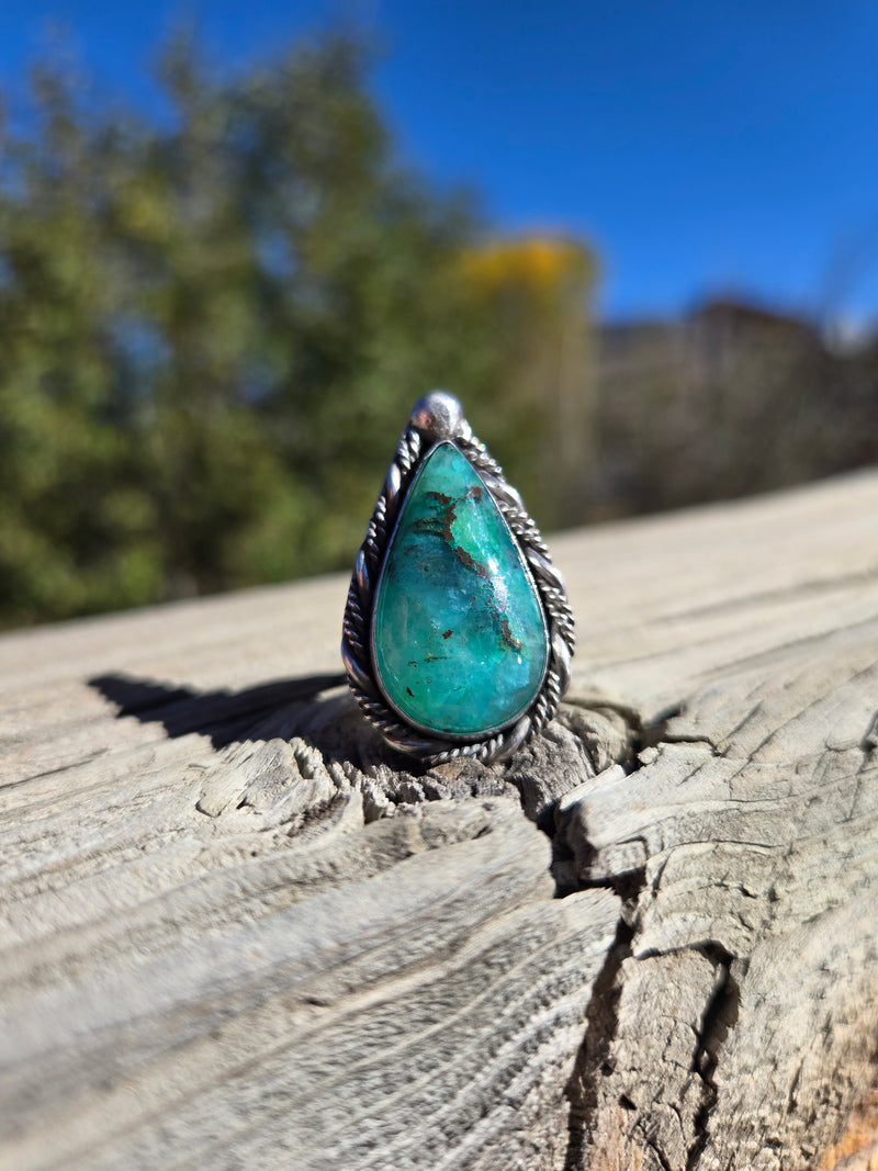 Alpine Waters